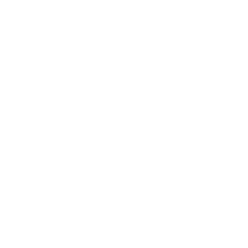 DINO DINO